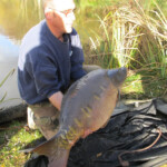 stocking 2012 carpnormandy.com