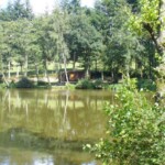 The Back Lake Chalet
