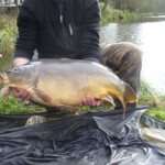 stocking 2012 carpnormandy.com