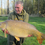 carpnormandy.com - fish 14 - catches 2016