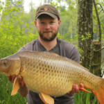 carpnormandy.com - fish 23 - catches 2017