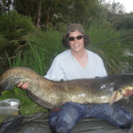 carpnormandy.com - fish 29 - catches 2013