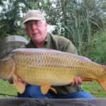 carpnormandy.com - fish 31 - catches 2017