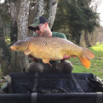 carpnormandy.com - fish 34 - catches 2017