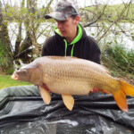 carpnormandy.com - fish 5 - catches 2016